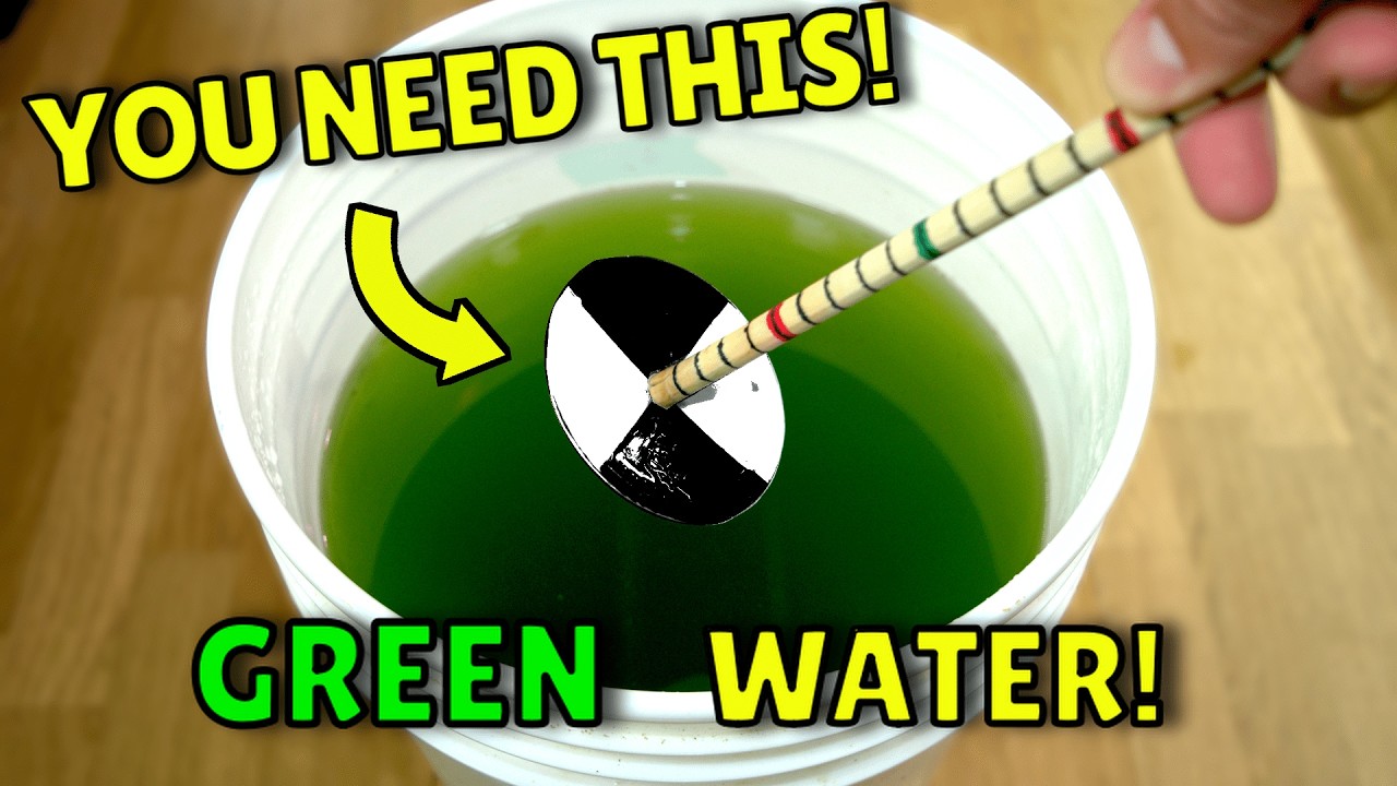 How to Make Green Water Easy with this Simple Tool!