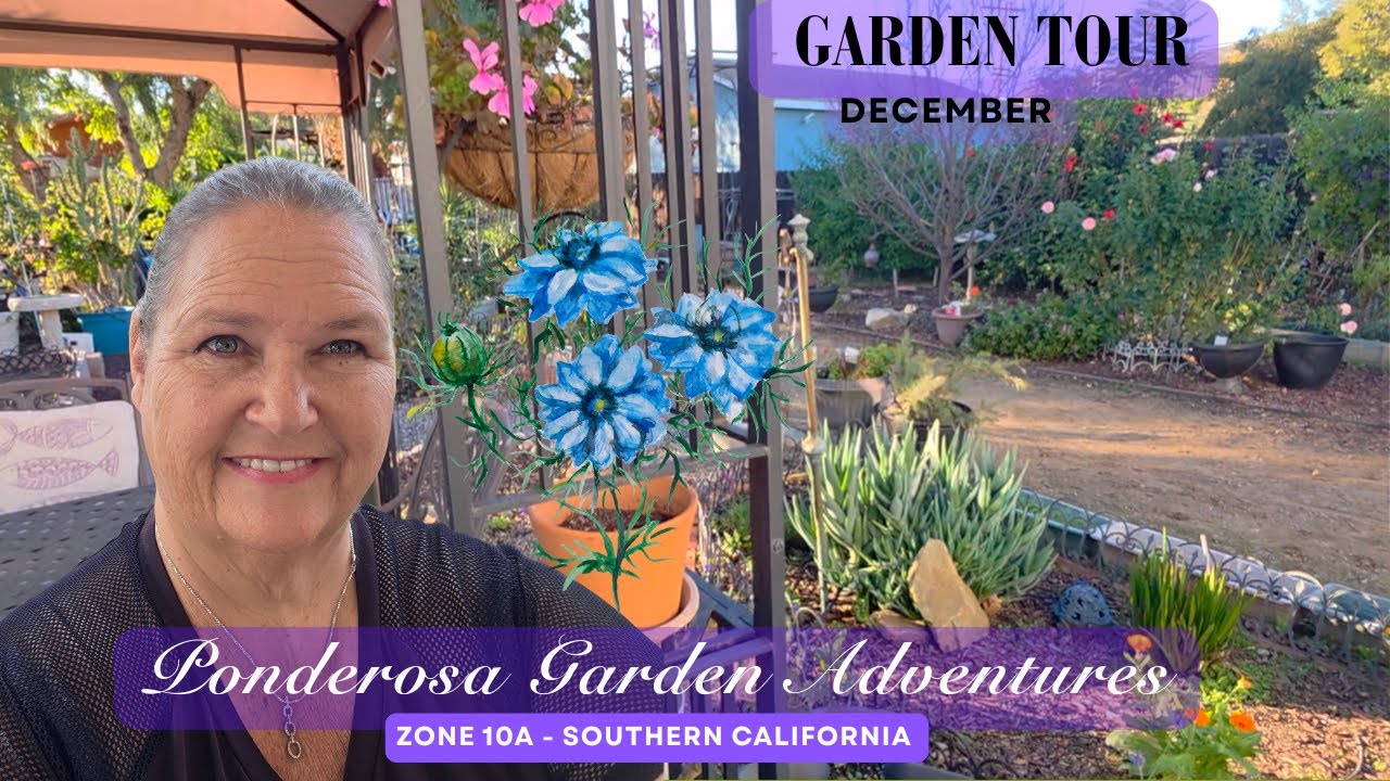 December Garden Tour - Zone 10A