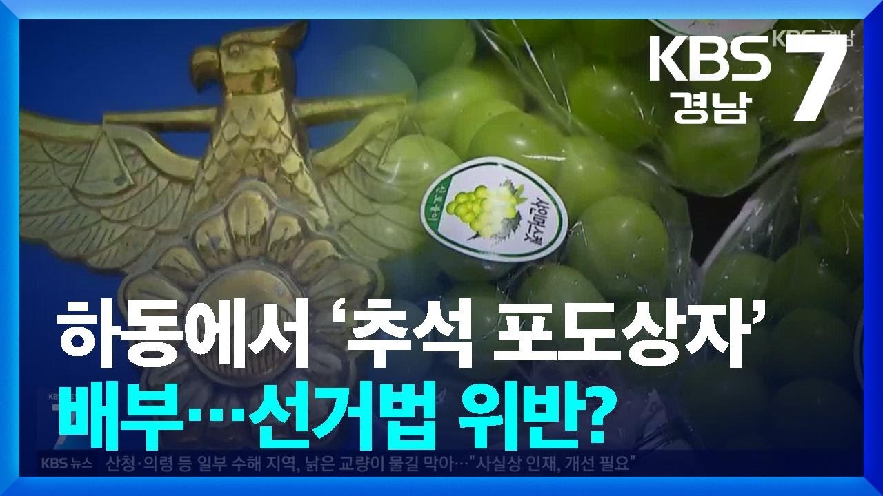 하동에서 &lsquo;추석 포도상자&rsquo; 배부&hellip;선거법 위반?  / KBS  2025.07.30.