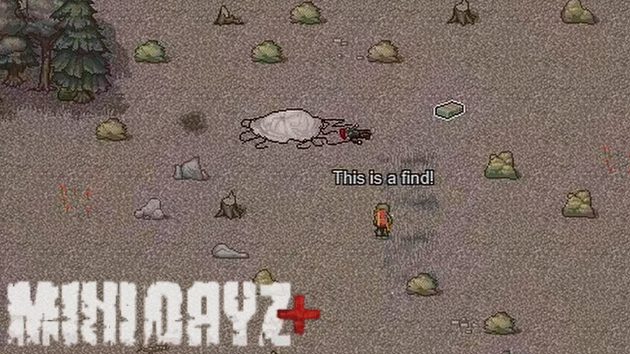 A Rare Find - Mini DayZ Plus