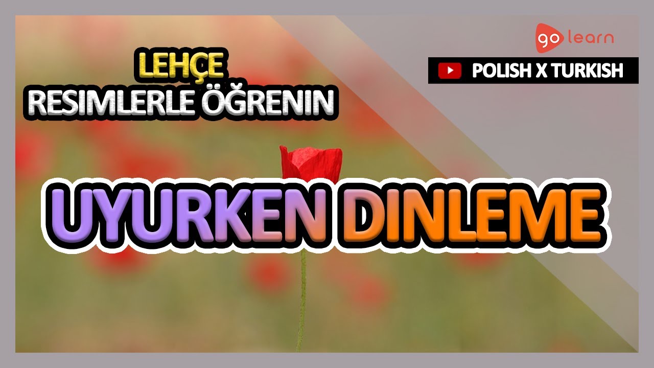 Lehçe Resimlerle Öğrenin | Lehçe Kelime Bilgisi Uyurken Dinleme | Golearn