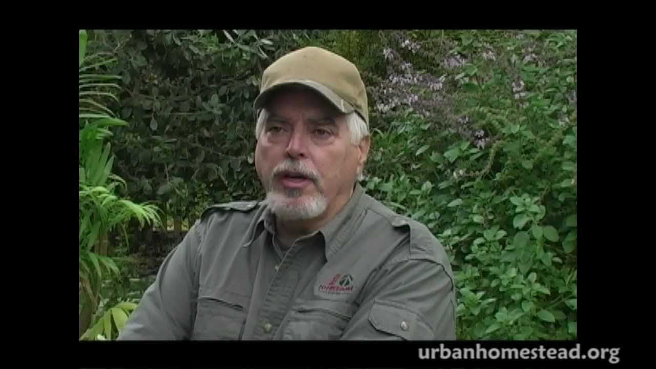 Homegrown Revolution (Award winning short-film 2009)- The Urban Homestead, Dervaes