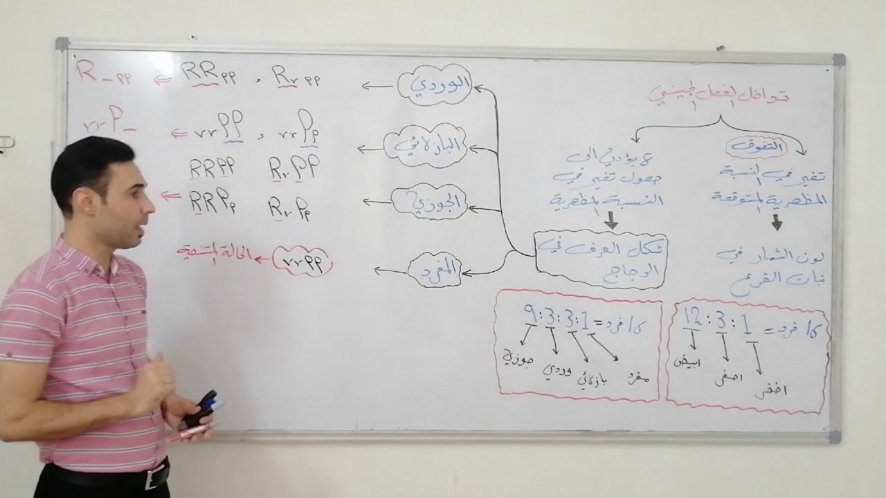 تداخل الفعل الجيني (شكل العرف في الدجاج)