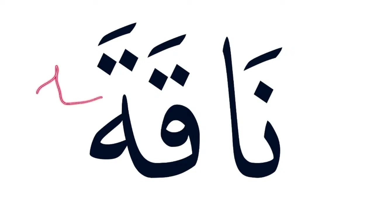 Le&ccedil;on d'arabe 25: lecture et r&eacute;vision