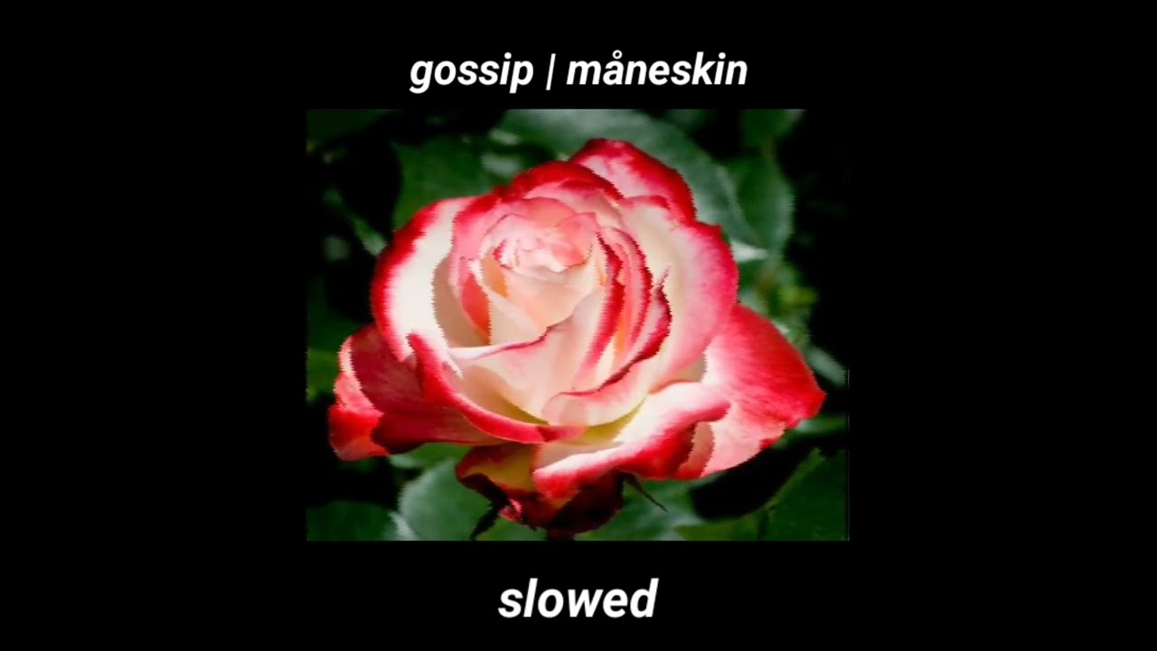 GOSSIP • MÅNESKIN (ft. tom morello) | slowed n reverb