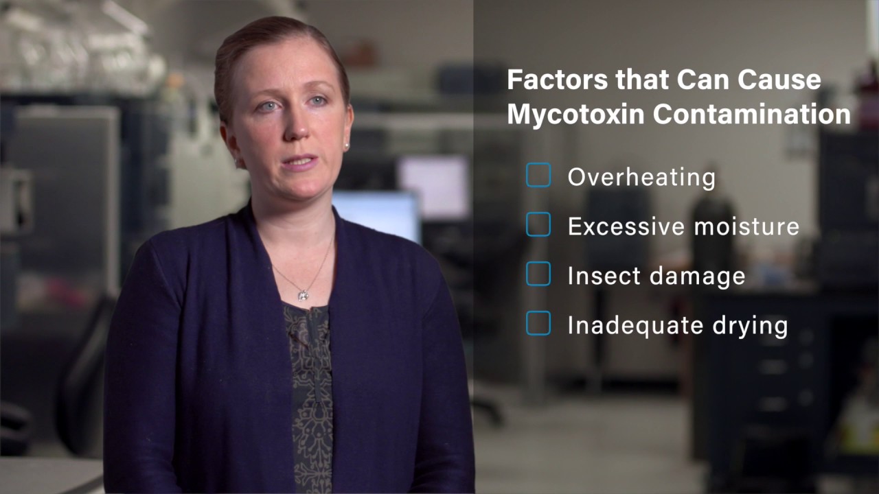 VICAM Mycotoxin Prevention and FSMA