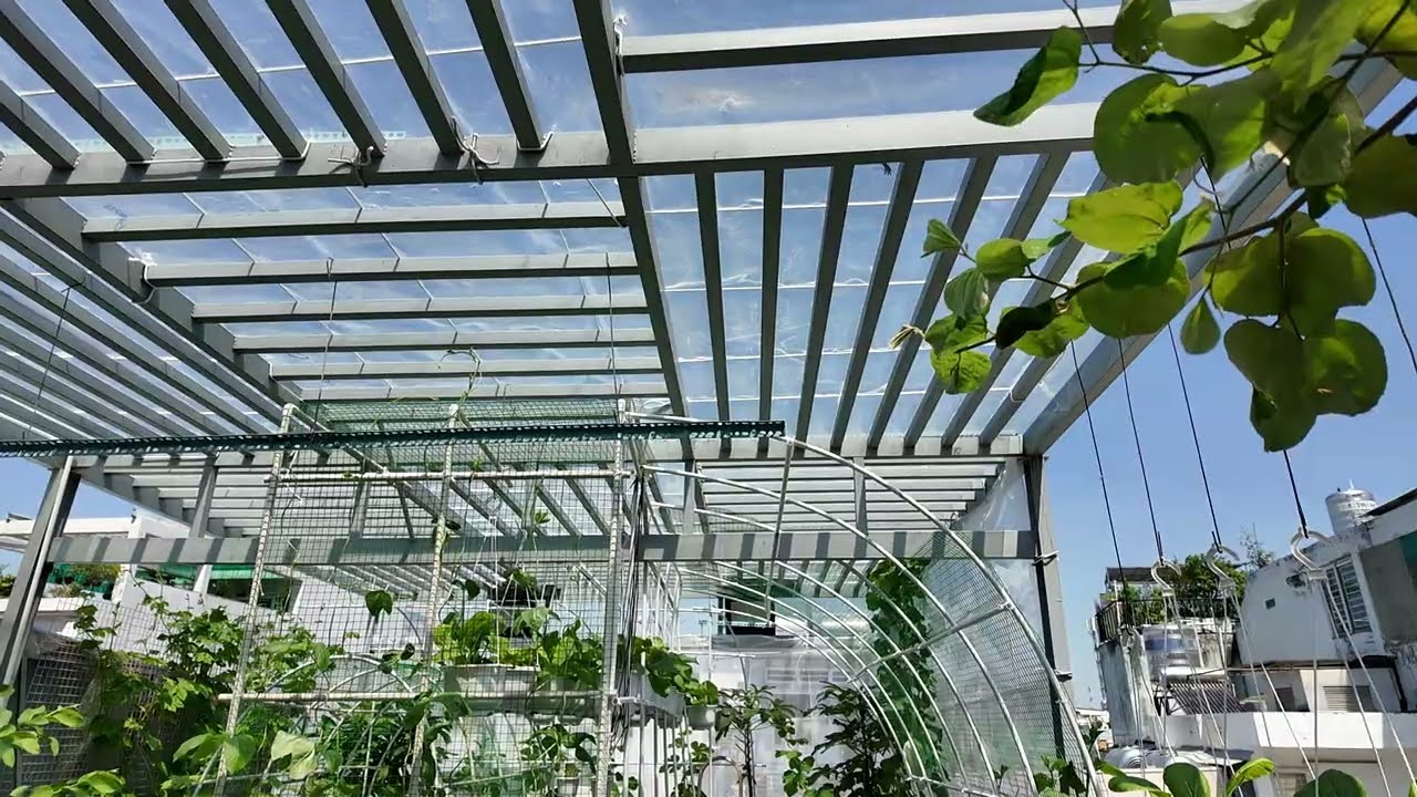 CHI PHÍ LÀM MỘT KHU VƯỜN TRÊN SÂN THƯỢNG CHỈNH CHU, CÓ TƯỚI TỰ ĐỘNG