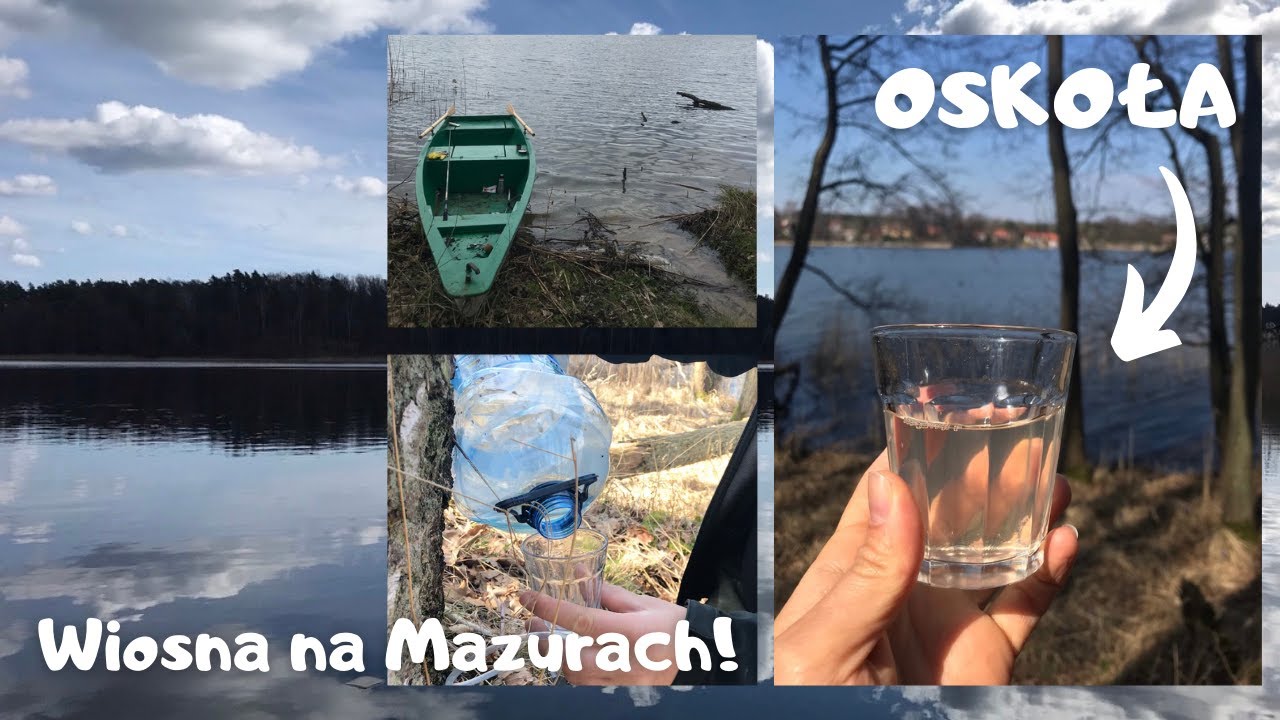 Sok z brzozy - płyniemy po oskołę na drugi brzeg Jeziora Omulew.
