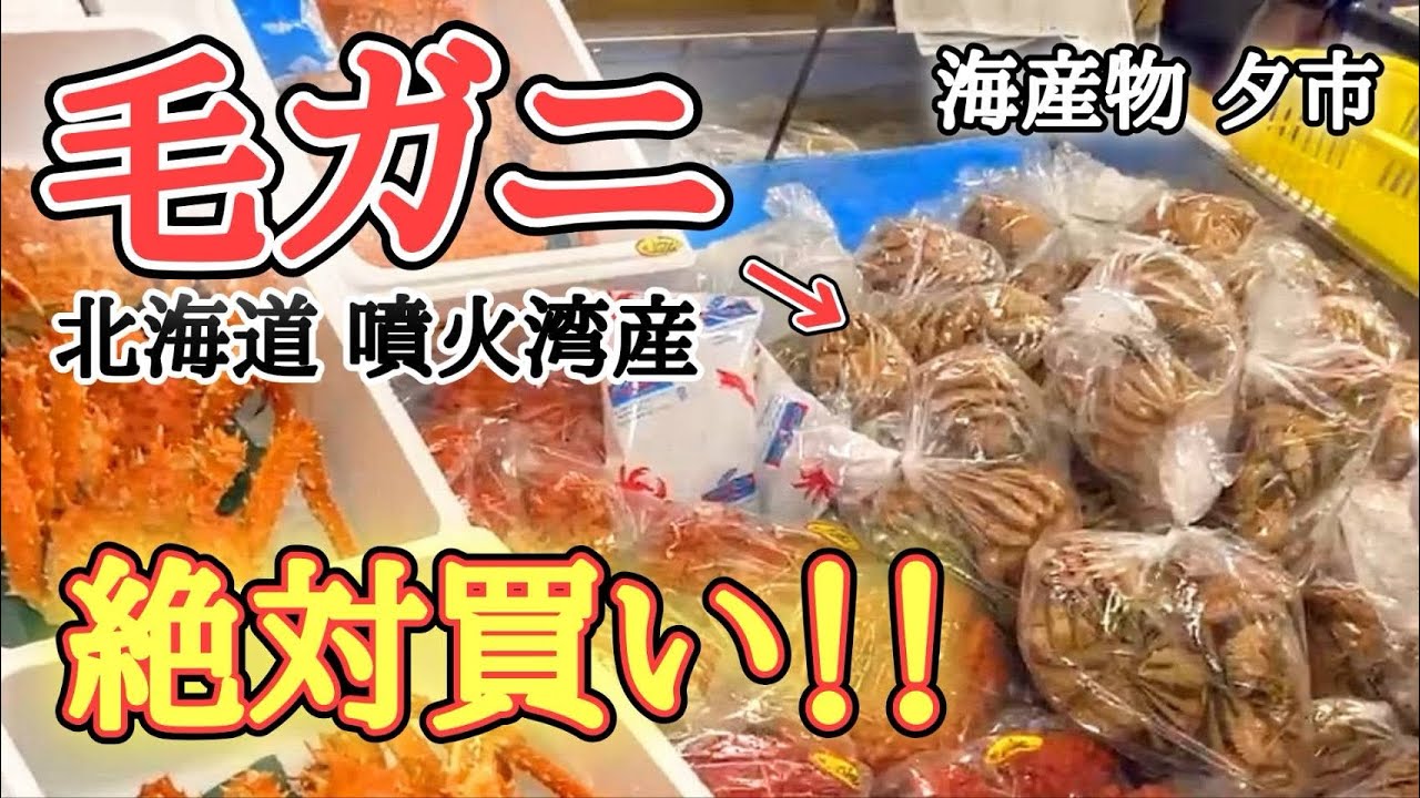 【北海道】白老『海産物夕市』期間限定！豊漁の毛蟹が安く大満足🤩たまには◯◯で酒ぇ〜！