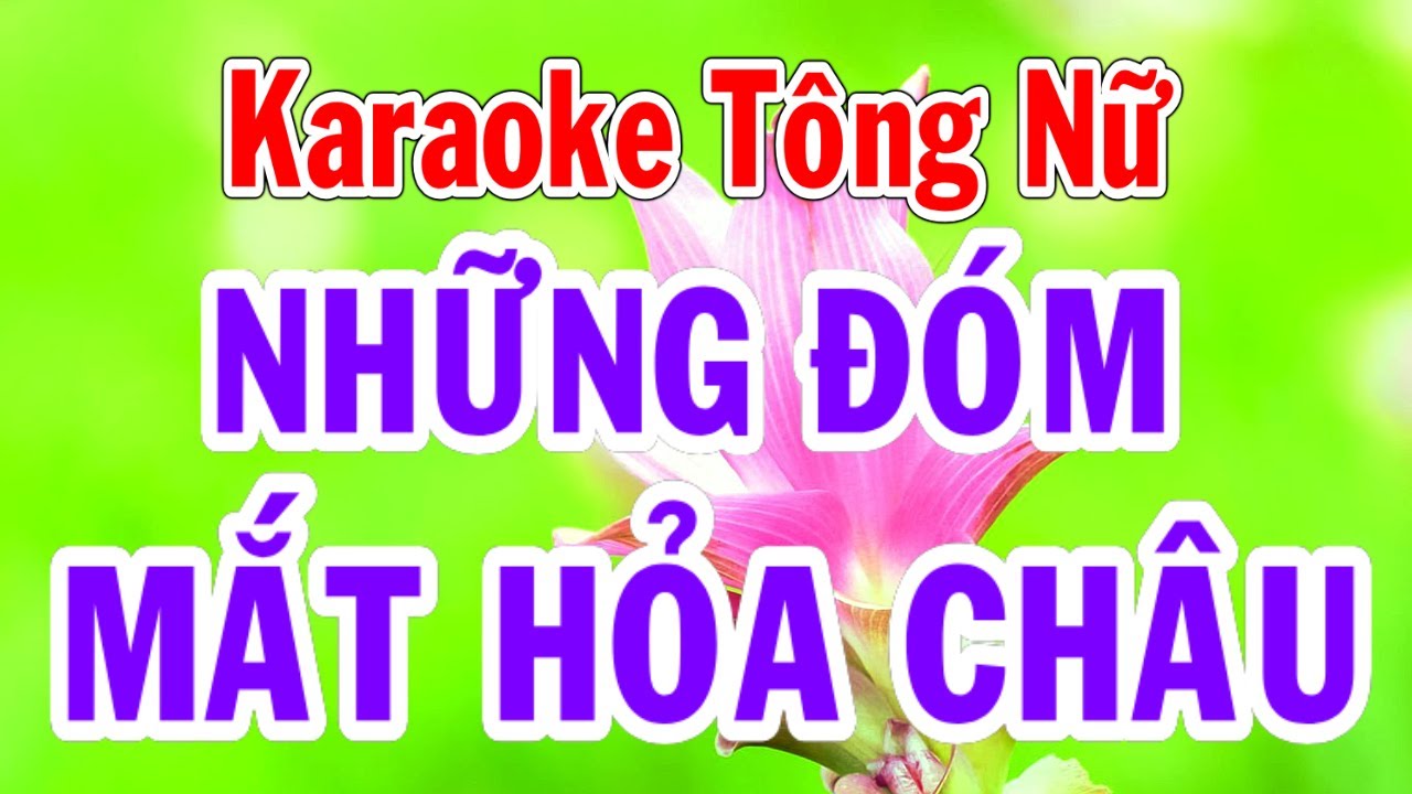 Những Đóm Mắt Hỏa Châu Karaoke Tông Nữ Thành Lý Organ