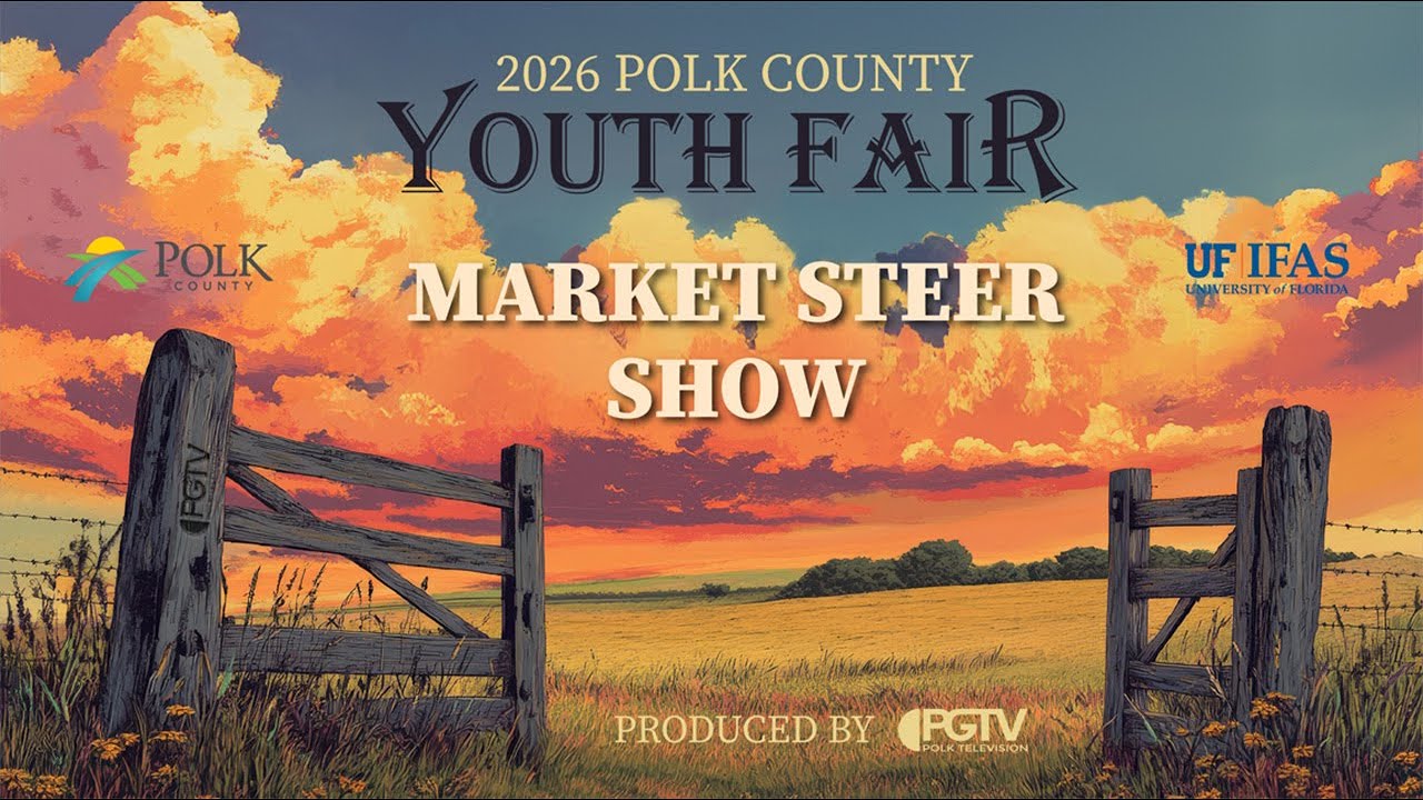 Youth Fair 2026 - Market Steer Show