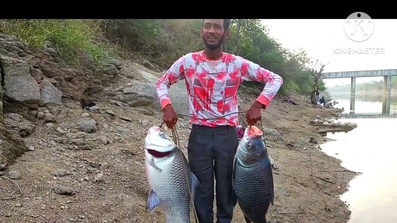 katla fishing | big fish | fishing video | fishing hunting | fishing food