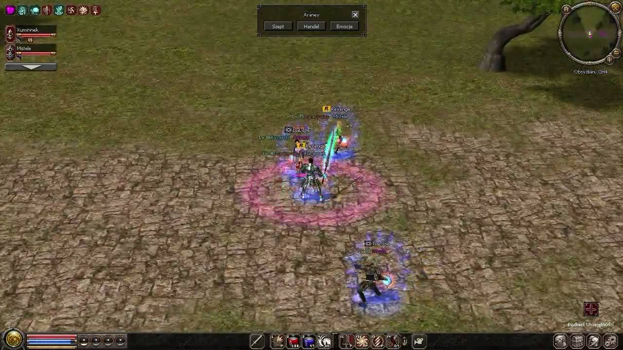 Metin2 PL Turniej PvP 2on2 - Xuminnek & Mistele vs. Kogaa & Araney