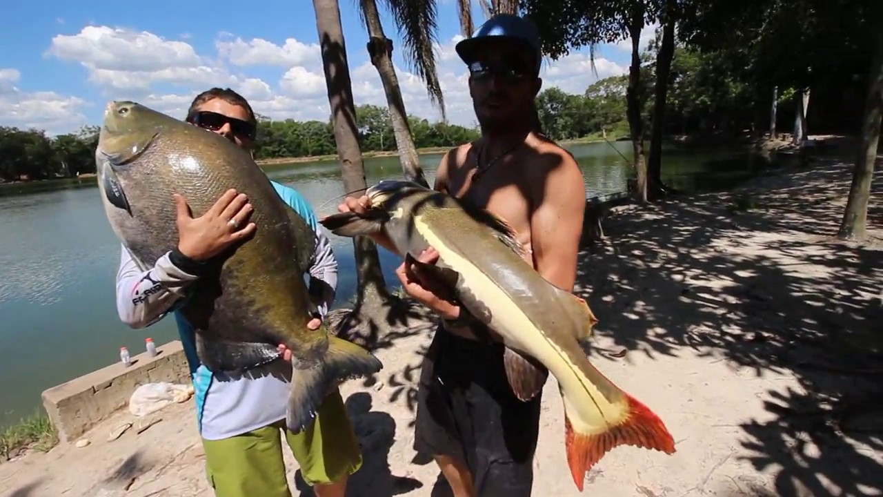 C&Oacute;RREGO DAS ANTAS - Eki-Panela ft.Amental Fishing 4/5