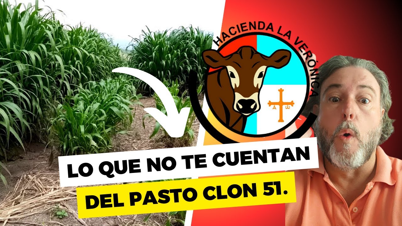 LO QUE NUNCA TE CUENTAN DEL CLON 51