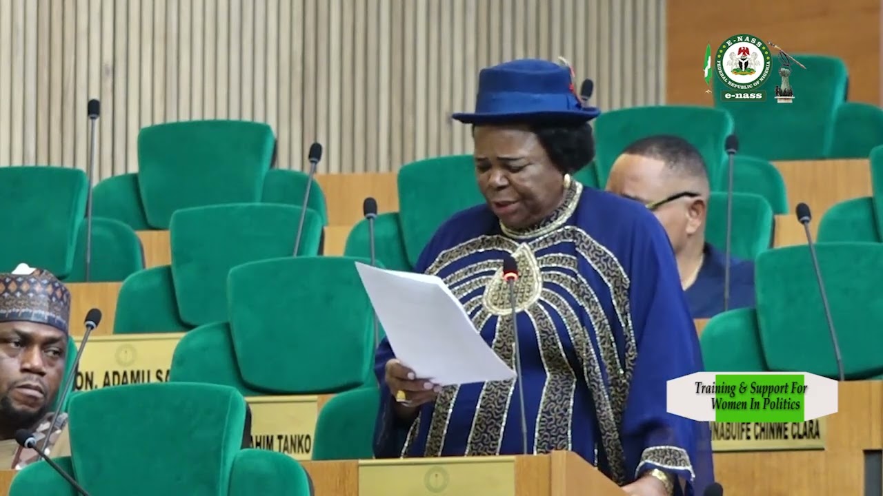 Hon Blessing Chigeru Amadi, Seeks Training, Encouragement For Women In Politics