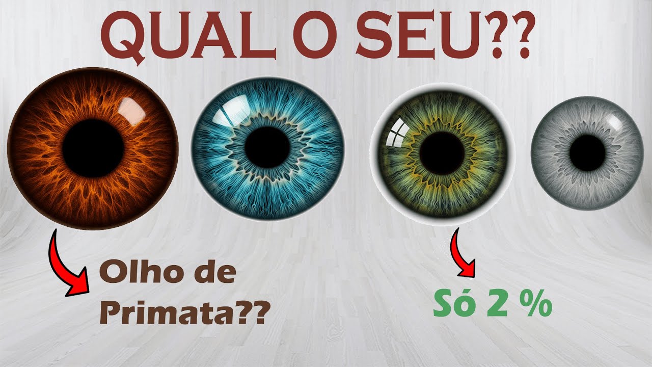 A Origem dos Seus Olhos Explicada em 5 minutos.