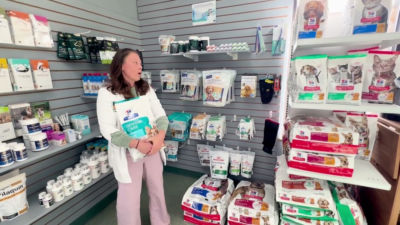 Dental Month! The importance of dental care with Dr. Karen!