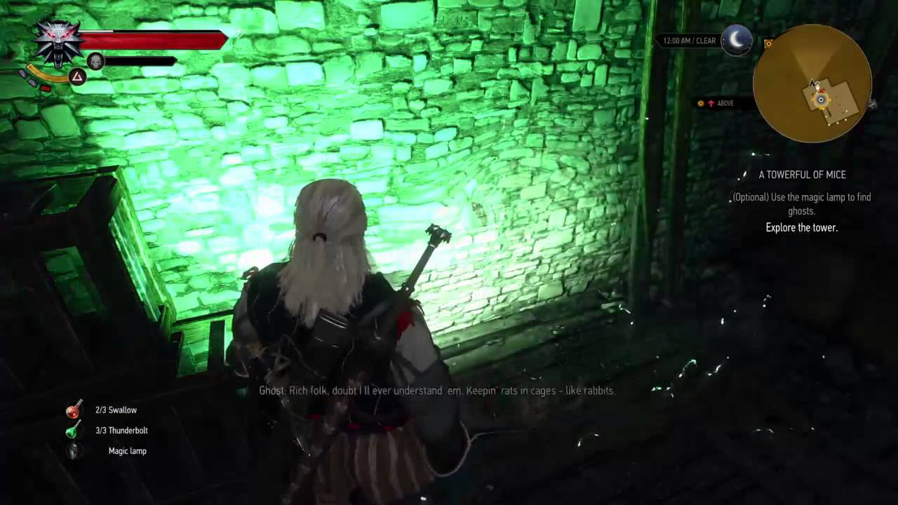 The Witcher 3: Wild Hunt | A Towerful Of Mice - Explore The Tower