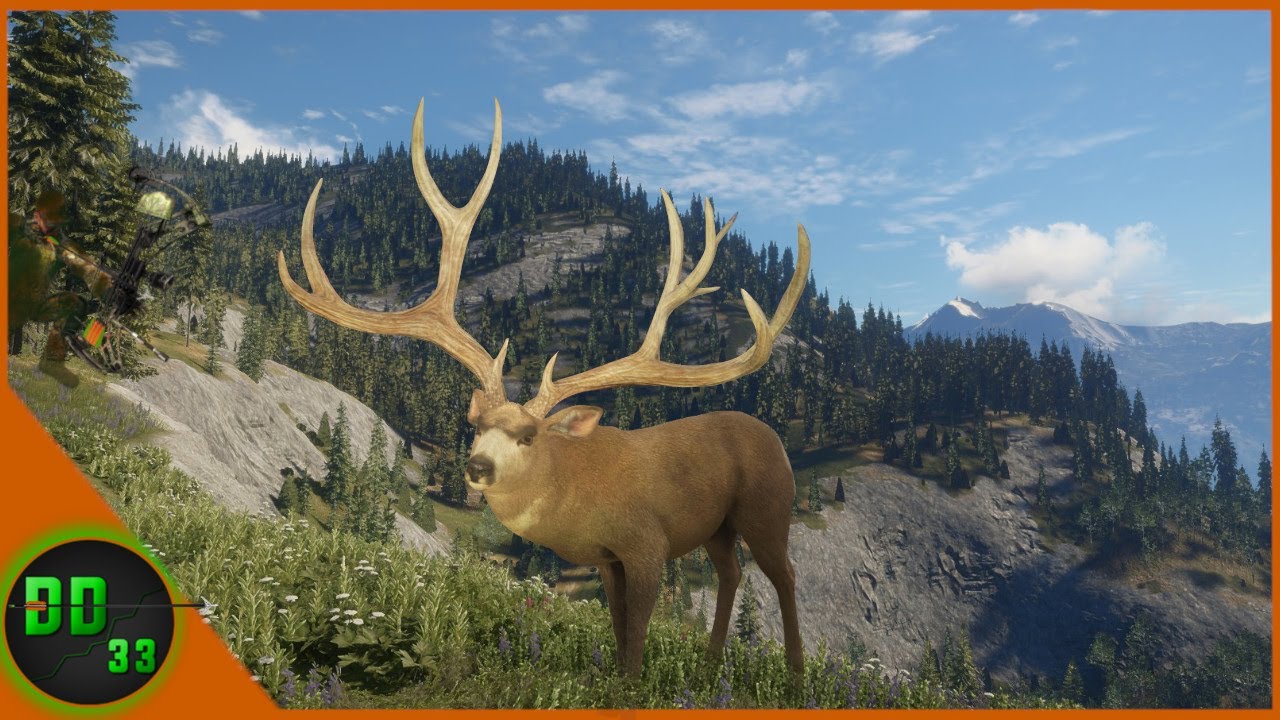 The Hunt for The Most Majestic Mule Deer! Call Of The Wild