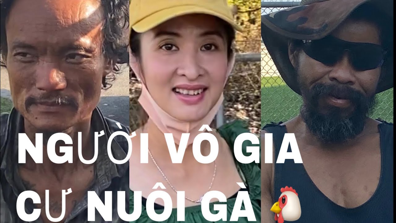 CAO BỒI GỐC VIỆT VÔ GIA CƯ Ở MỸ NUÔI GÀ KIẾM SỐNG QUA NGÀY