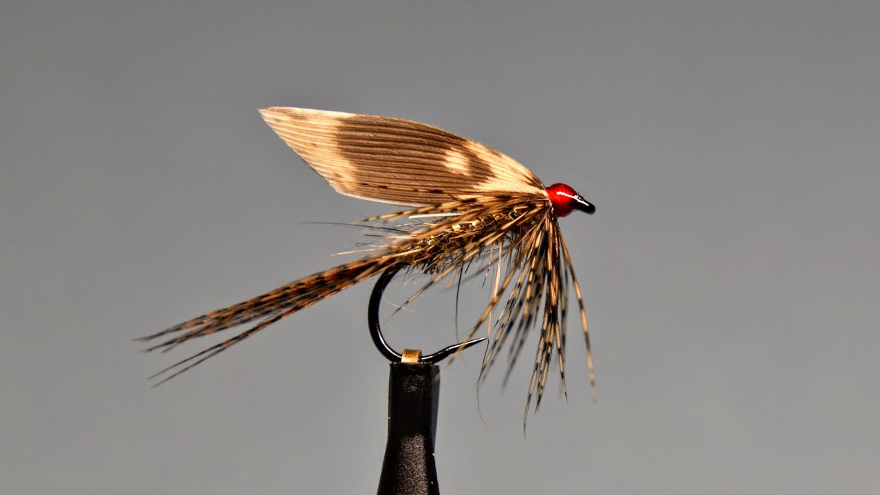 Viazanie Marcovky - mokrej musky (tying March Brown - wet fly)