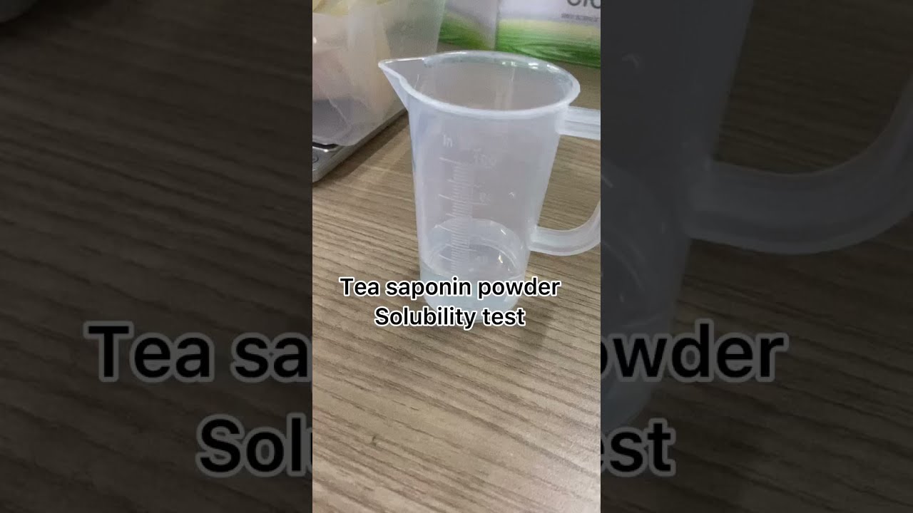 Tea saponin powder solubility test
