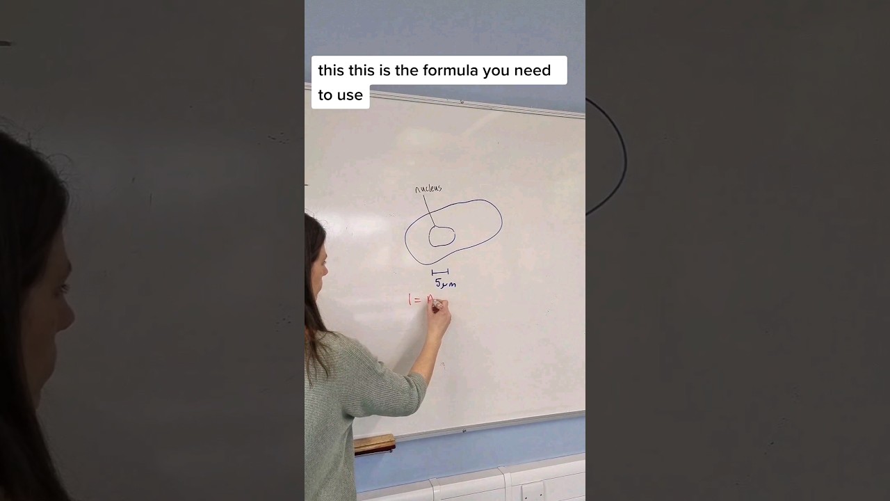 Essential GCSE and A-level Biology maths skill