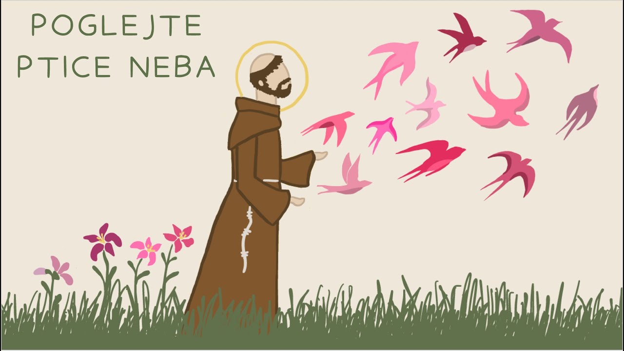 Poglejte ptice neba │  letni koncert 2024