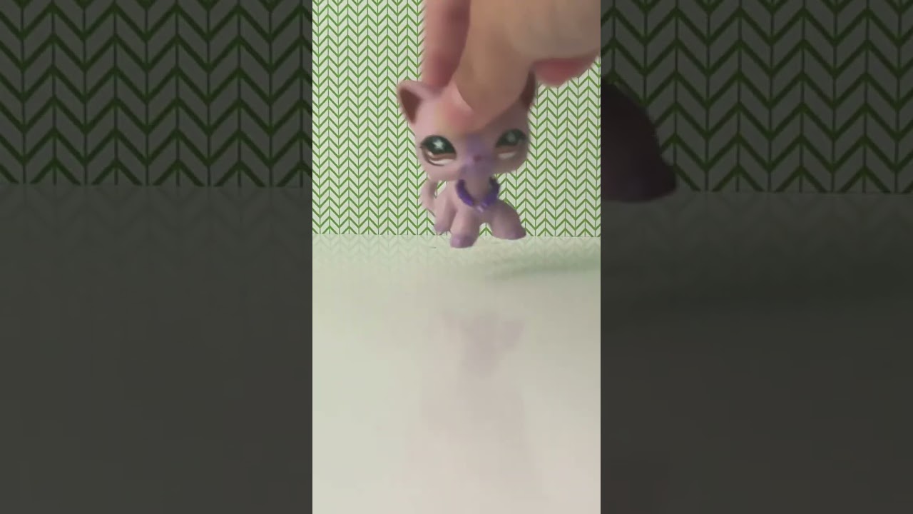 When you get your Dream LPS…