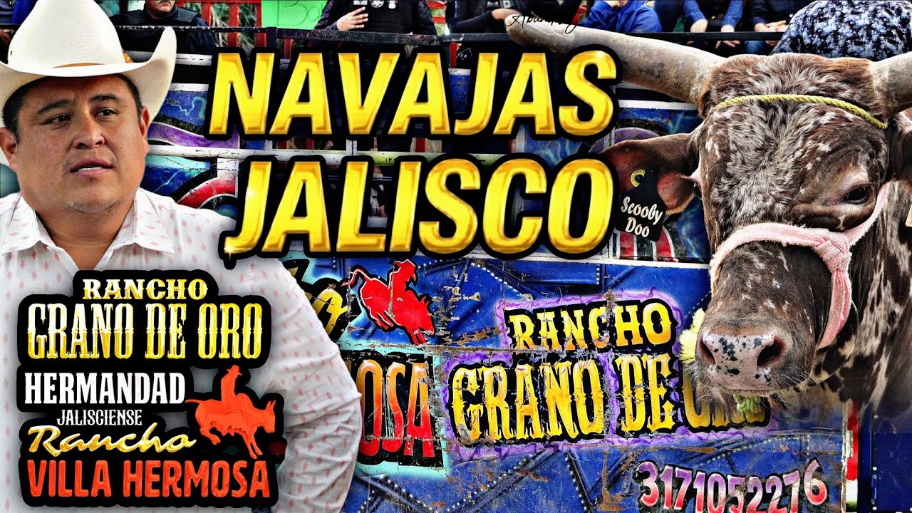 ESTOS TOROS NO SE ANDAN CON CH1NGADER4S 🔥 La Hermandad@GanaderiasHermanas  en Navajas Jalisco 2026 
