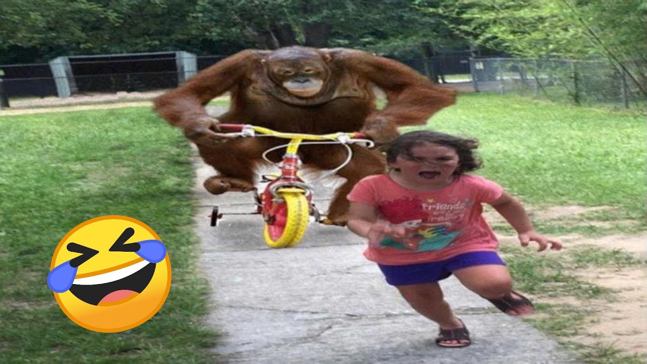 Best Funny Videos Of 2025 😂 TRY NOT TO LAUGH Funny Videos #10
