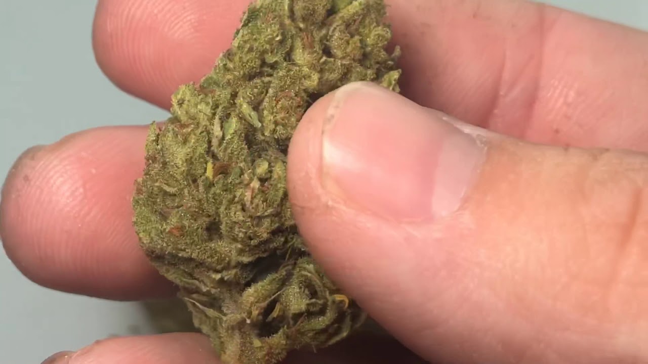 CascadiaBlooms CBD HEMP FLOWER