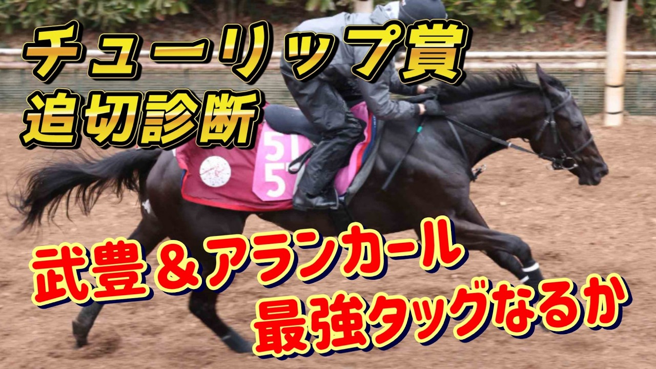 武豊＆アランカール！！ここは落とせない！！　【チューリップ賞2026 追い切り診断‼】元馬術選手のコラム
