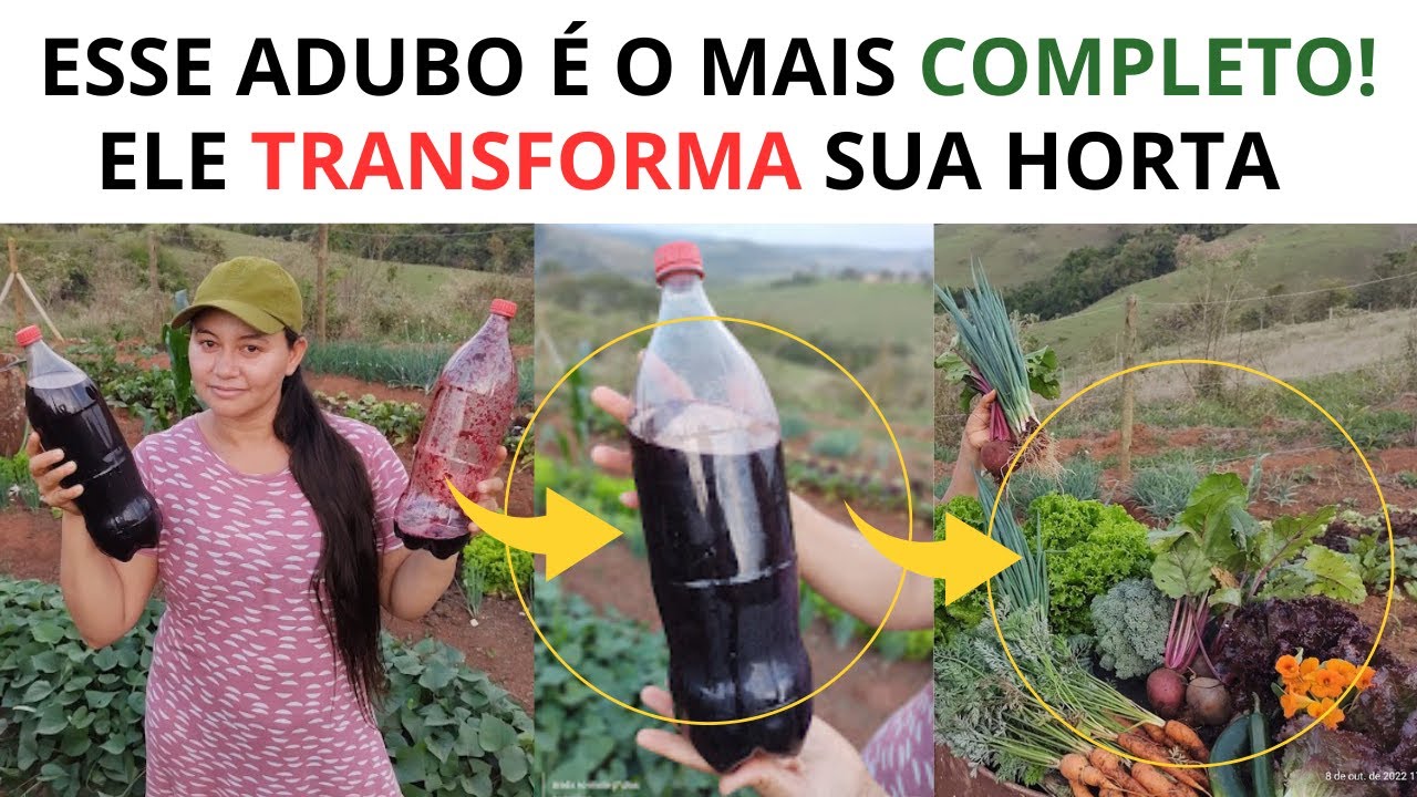 ESSE ADUBO VAI TRANSFORMAR SUA HORTA DE UMA VEZ POR TODAS - 003 - VIDA VERDE SISTEMAS SUSTENT&Aacute;VEIS