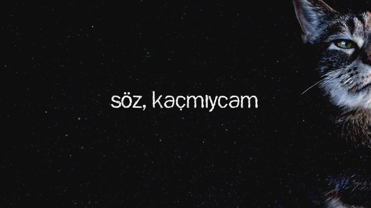 Kaç Canım Kalmış - Söz, Kaçmıycam