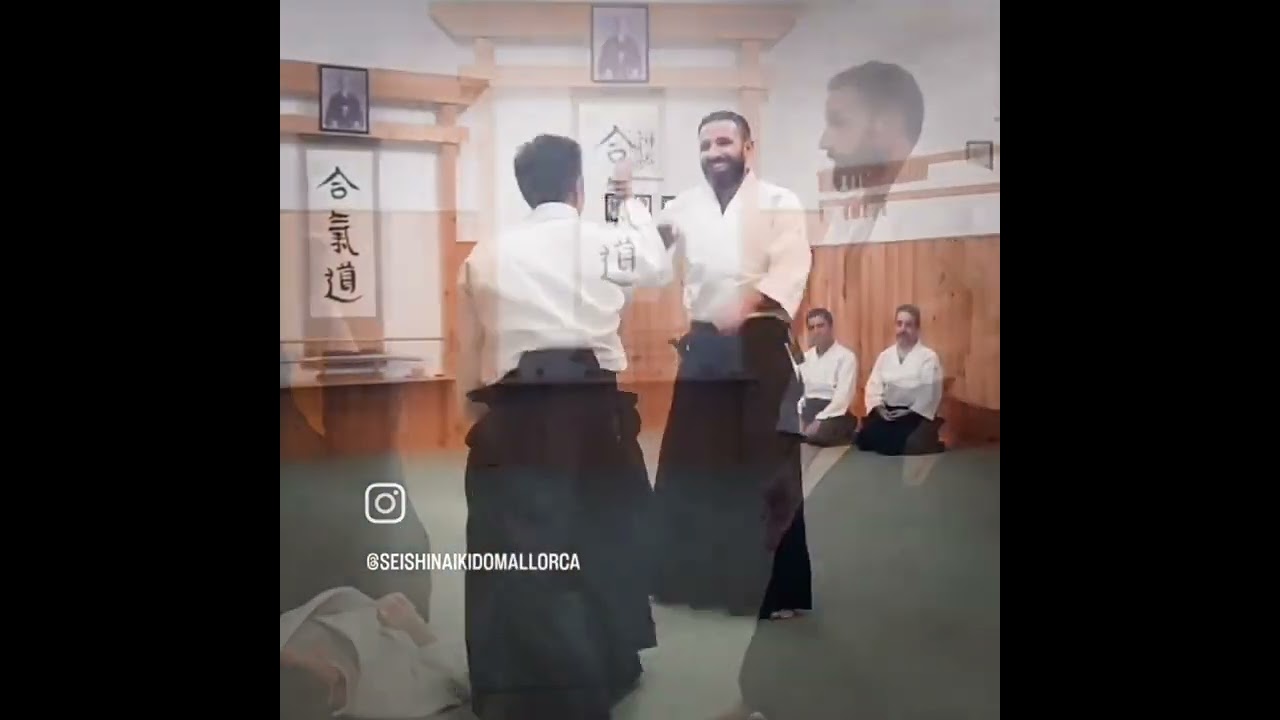 28 y 29 de septiembre. Aikido. Mallorca. Luis Mochón Sensei.