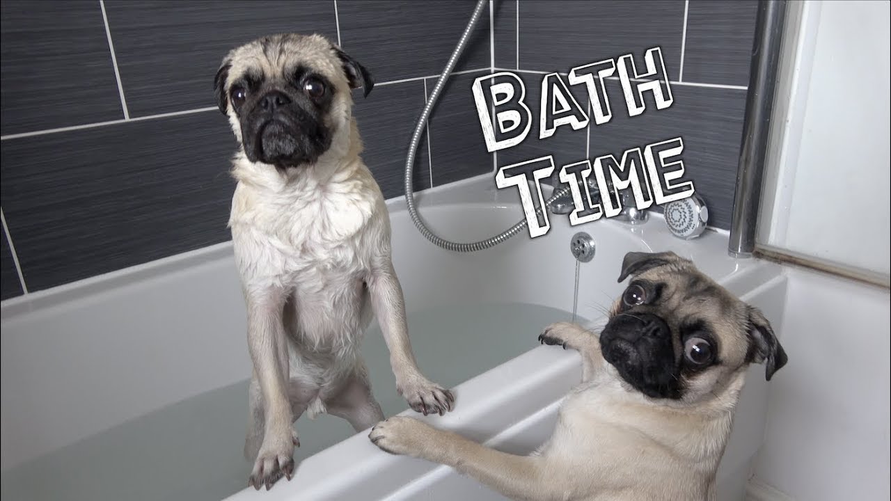 Bath Time!