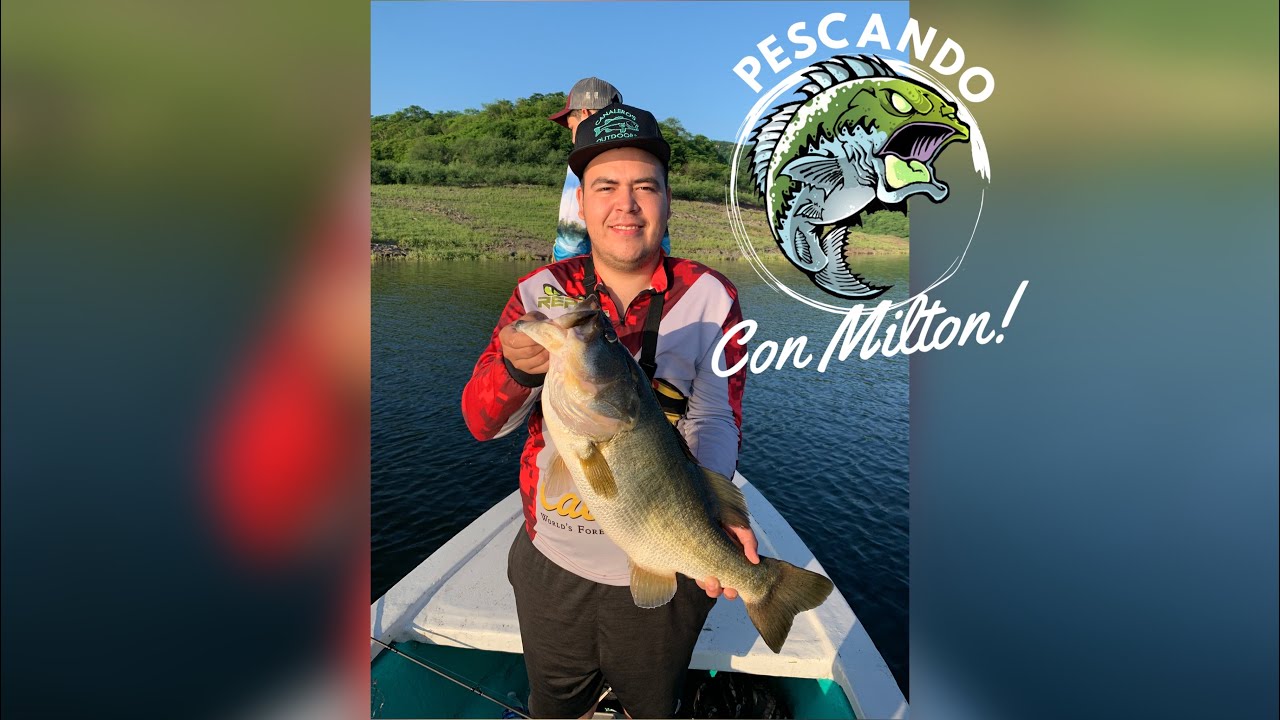 Pesca en Bacurato - Pesca de lobinas en Lake Baccarac