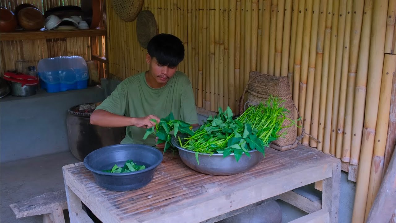 Harvest kangkong and cucumber | Make kangkong chips, cucumber juice and more! [Gayyem Ben]