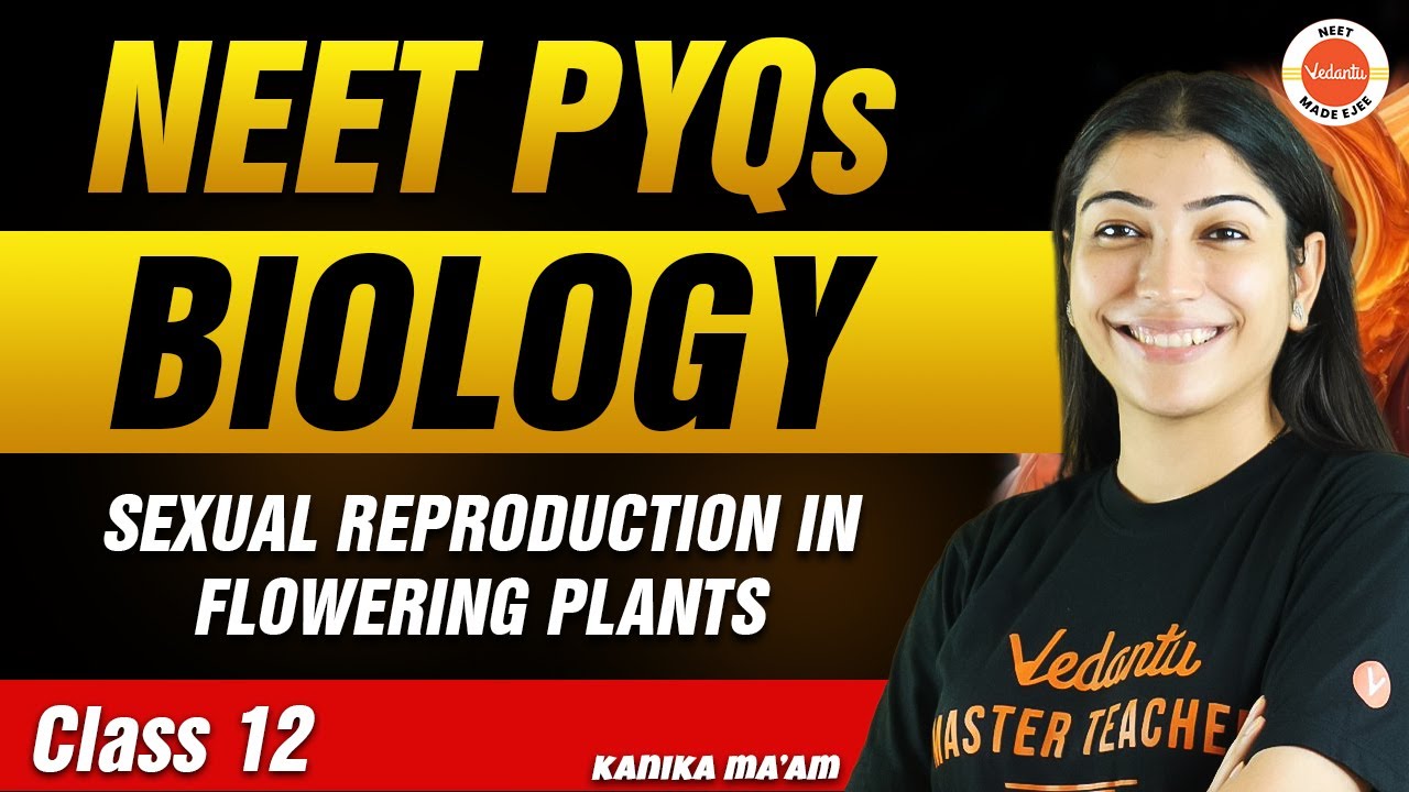 NEET PYQs for Sexual Reproduction in Flowering Plants | Class 12 Biology | NEET 2024