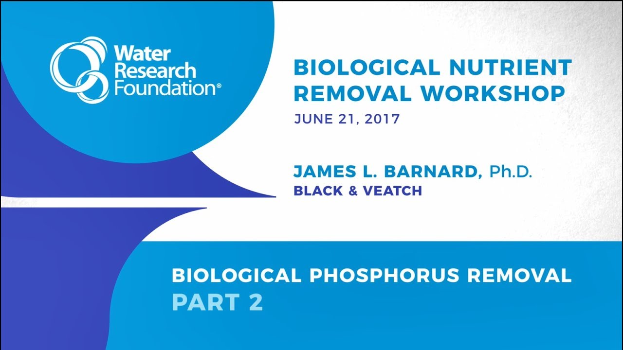 Biological Nutrient Removal Workshop:  Biological Phosphorus Removal Part 2