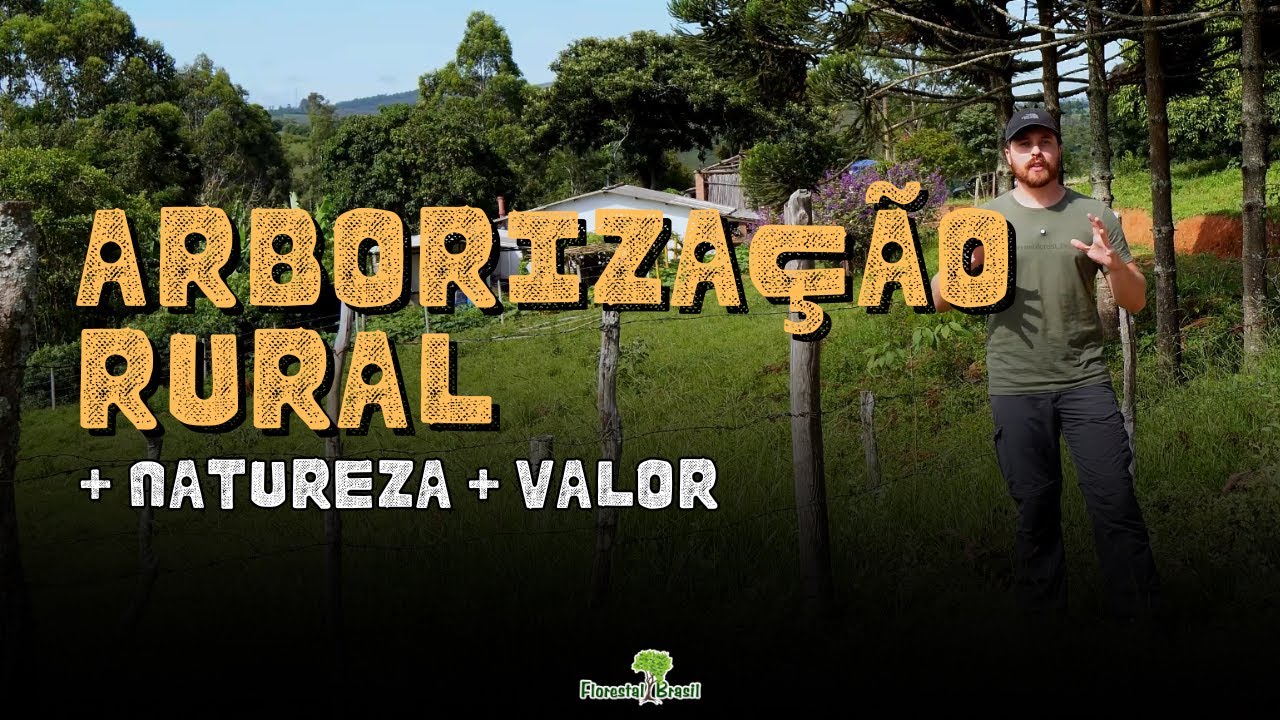 Arborização Rural: como Transformar sua Propriedade com Árvores Nativas e Frutíferas