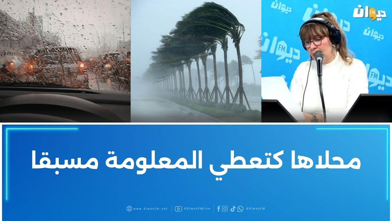 عفاف الغربي: رياح قوية وأمطار غزيرة في عدد من الولايات