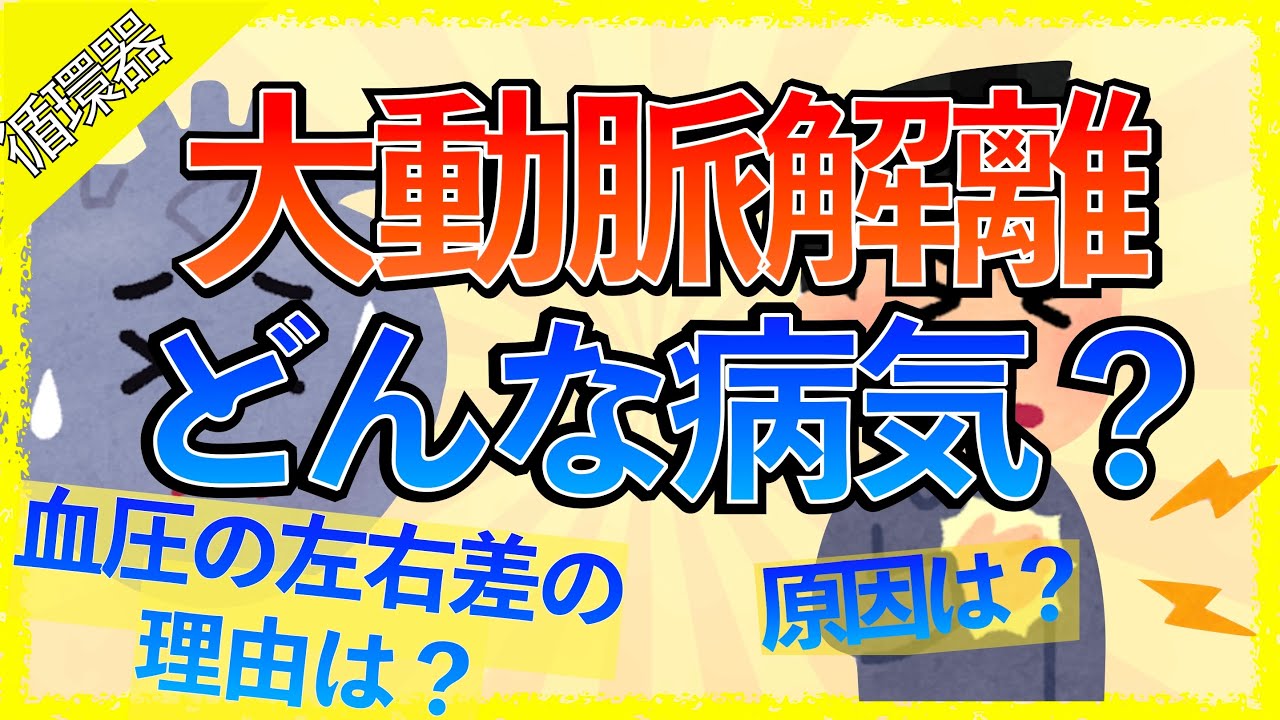 イラストで学ぶ医学！「大動脈解離とは？」血圧の左右差が起きる理由/胸水が見られる理由/分類をわかりやすく解説