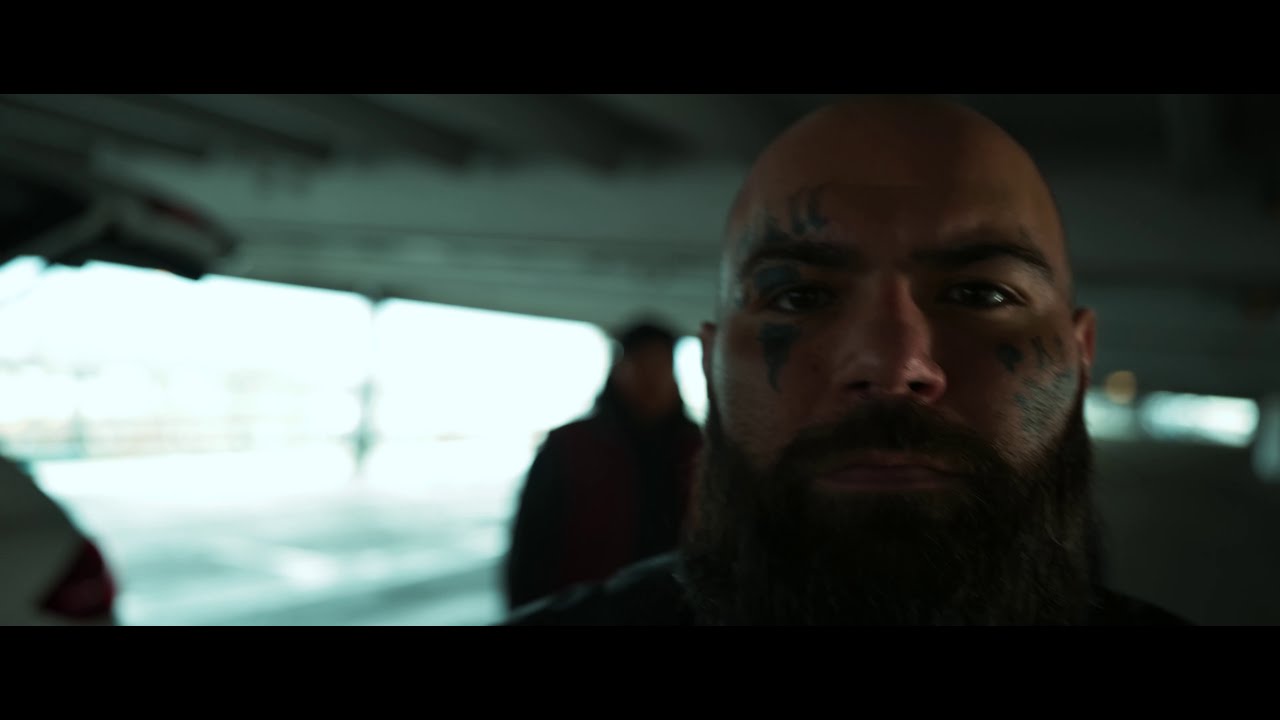 Bero Bass - PLEM