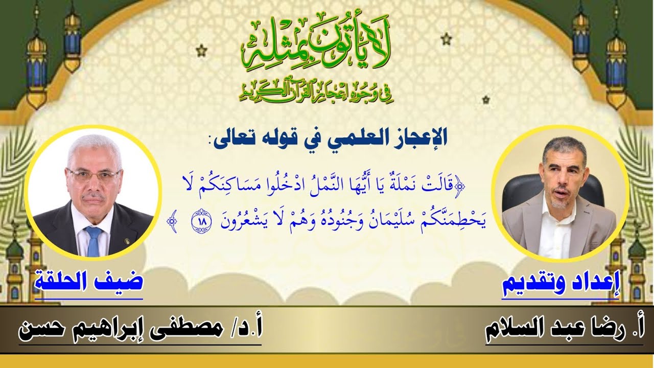 الإعجاز العلمي في قوله تعالى ﴿قالت نملة يا أيها النمل ادخلوا مساكنكم لا يحطمنكم سليمان وجنوده ﴾الآية