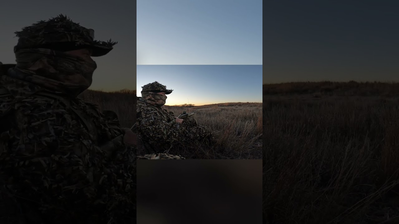 Camouflaged Hunter Waits Patiently in Field with Shotgun #shorts