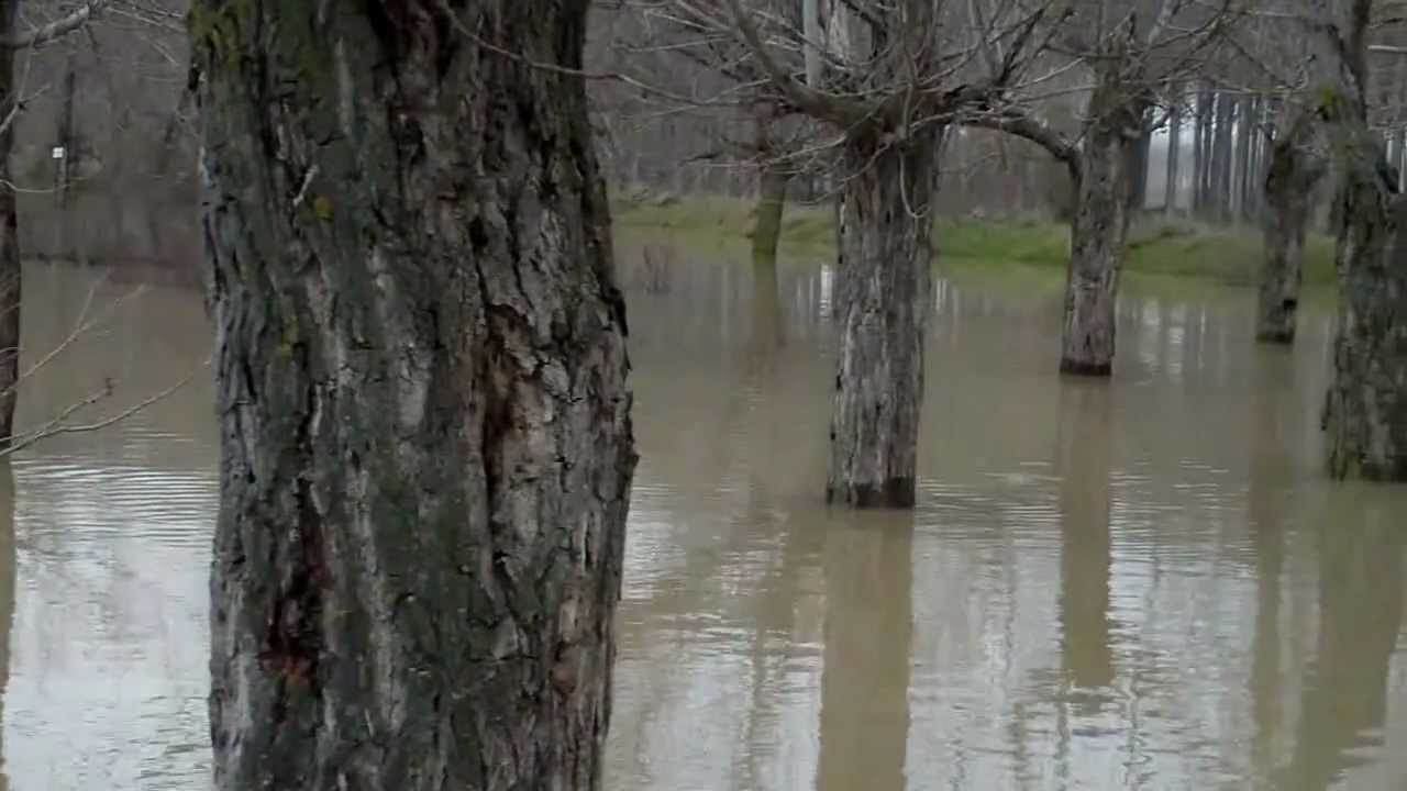 Crecida del Ebro en Sobradiel. Ribera Alta del Ebro.Zaragoza