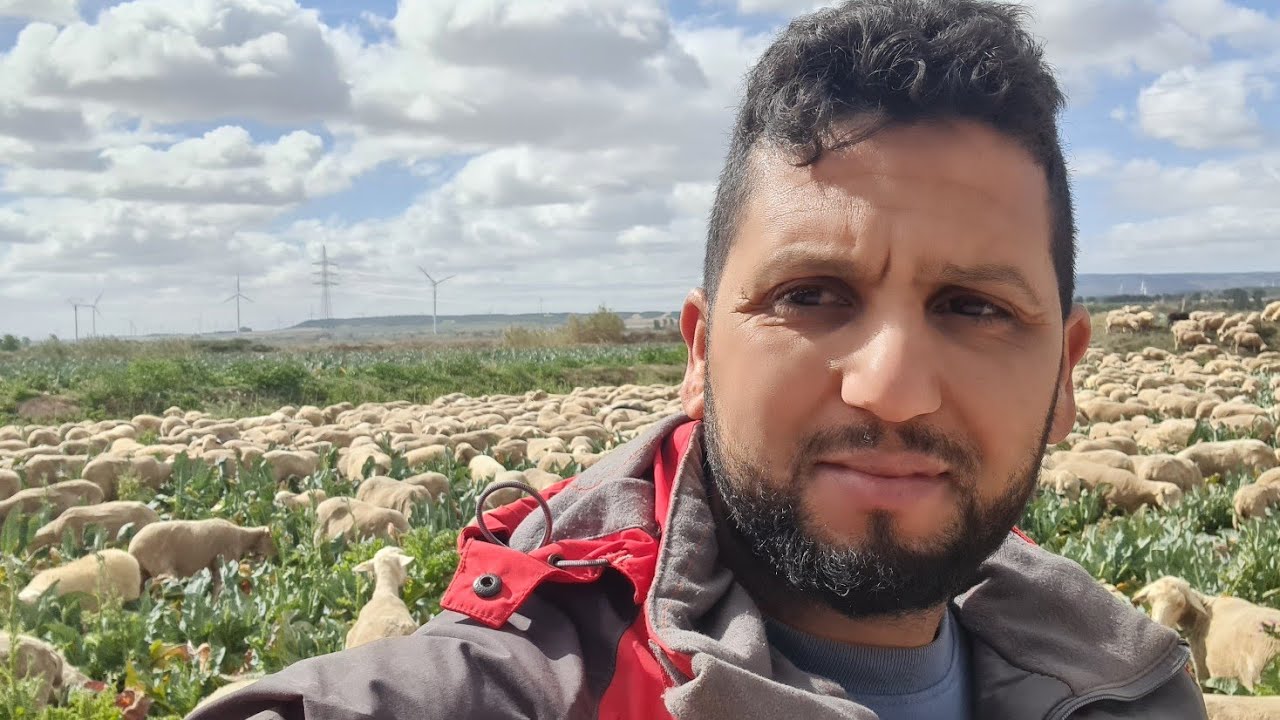 ياربي ترحمنا برحمتك ها كيفاش مت ليا رويو الكلب الغالي